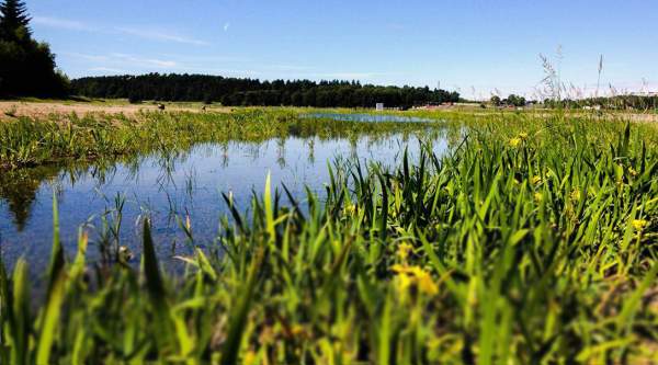 Fortum anlägger våtmark i Steningedalen