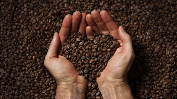 34. Räddat kaffe sparar 60 ton koldioxid under första året