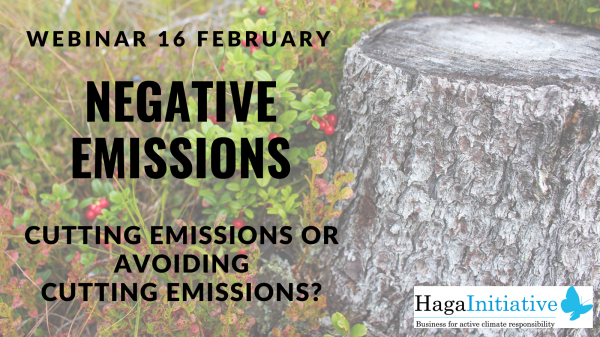Negative emissions – cutting emissions or avoiding cutting emissions? Webinar February 16