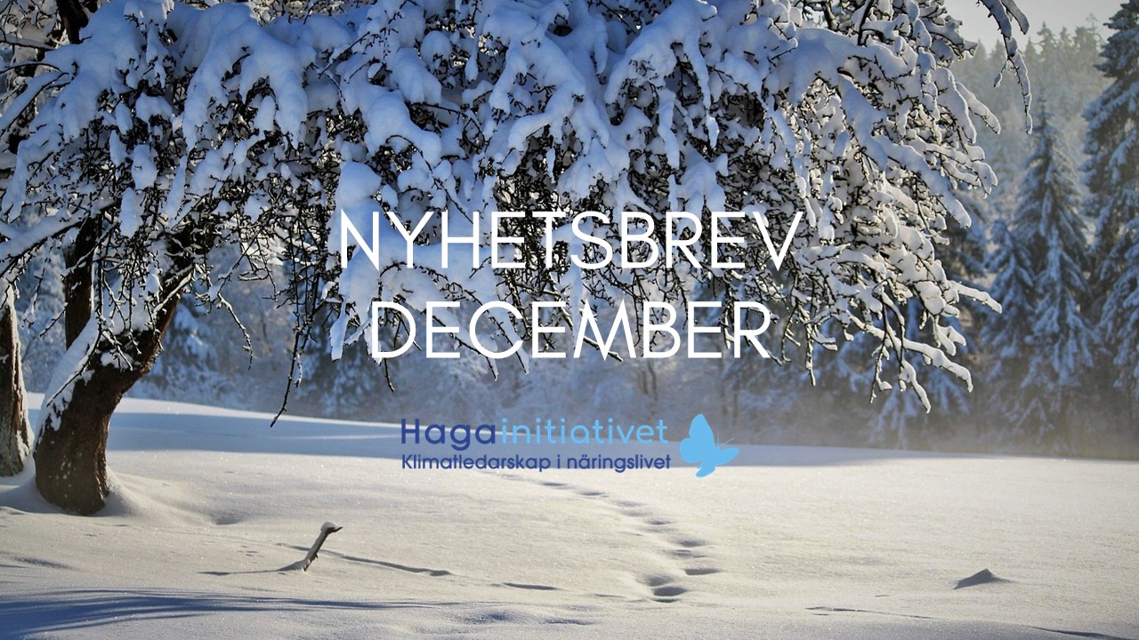 Nyhetsbrev december