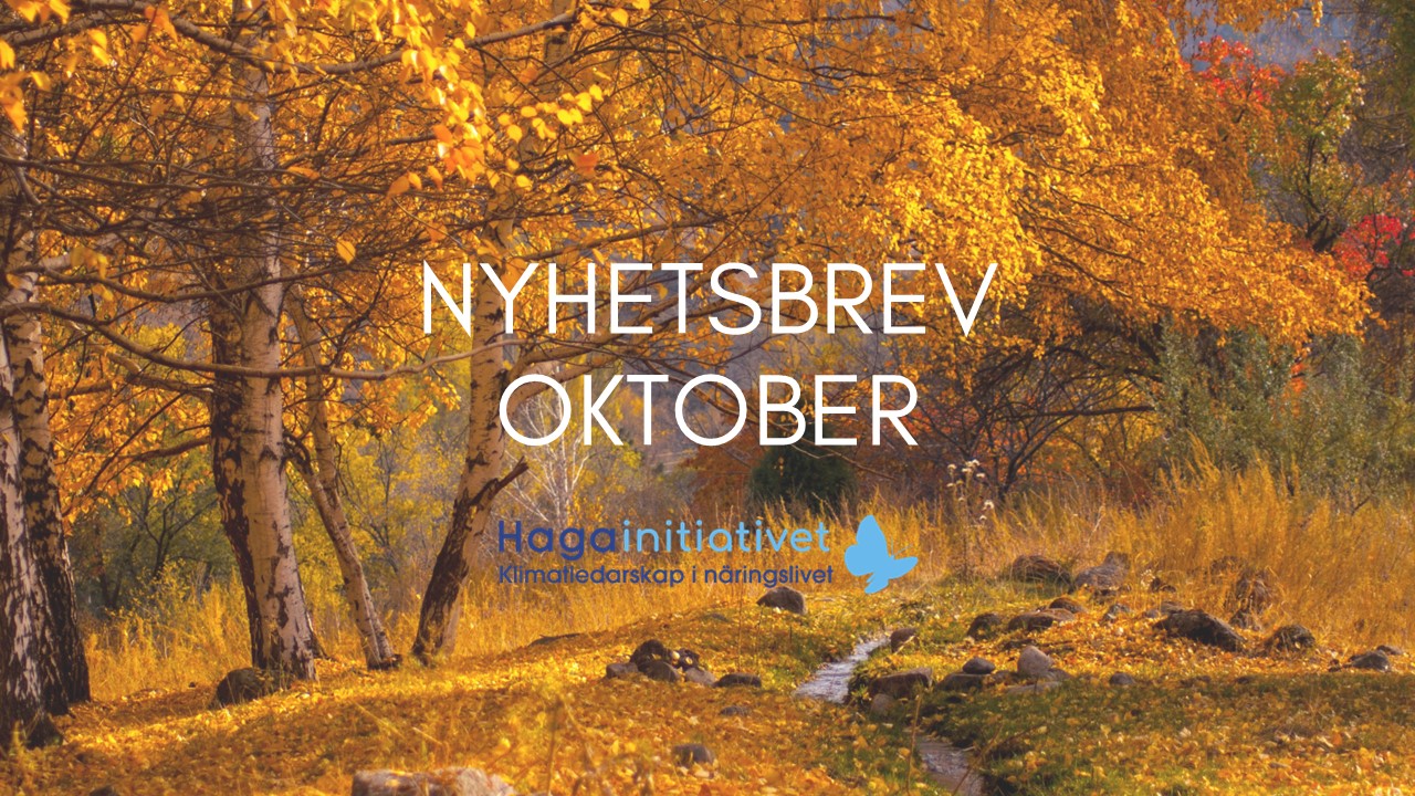 Nyhetsbrev oktober
