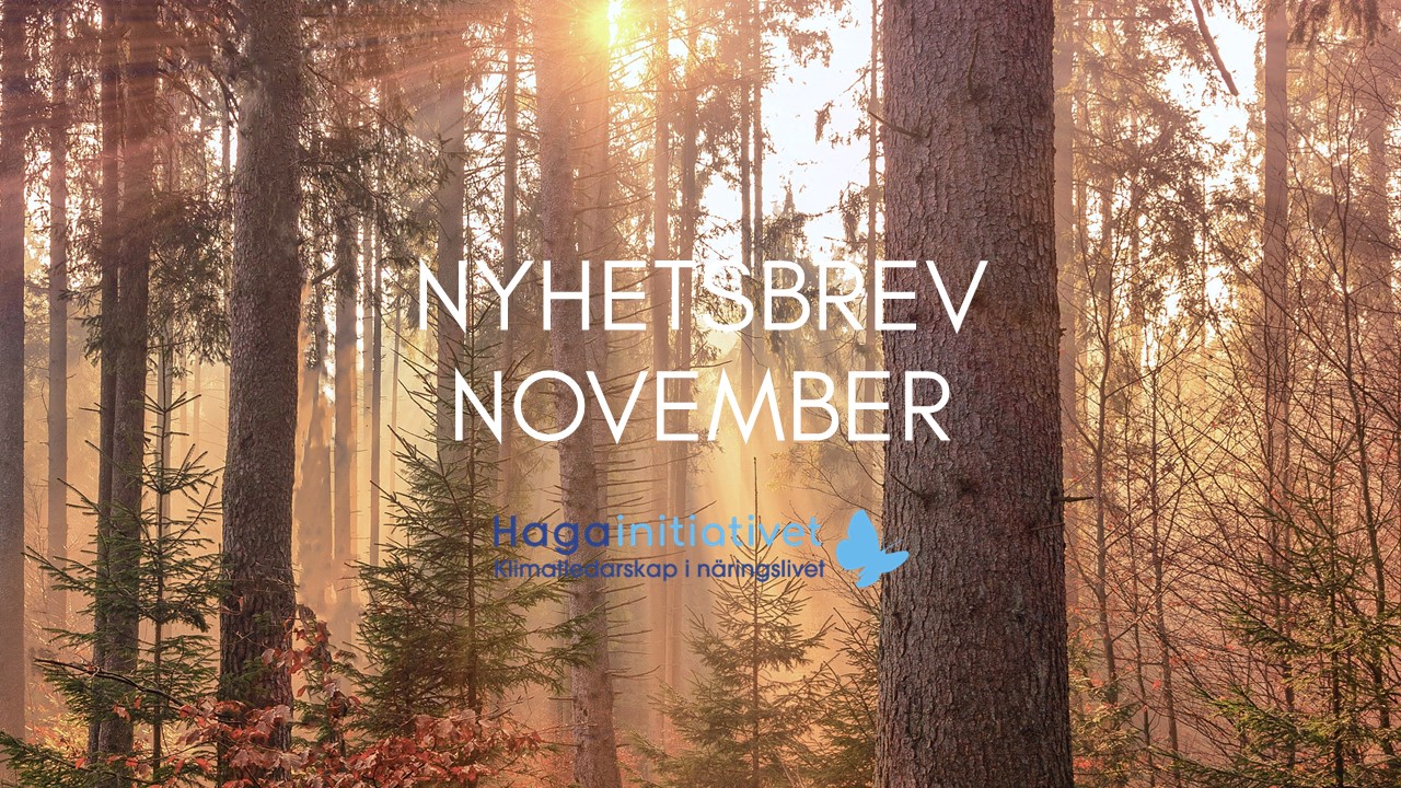 Nyhetsbrev november