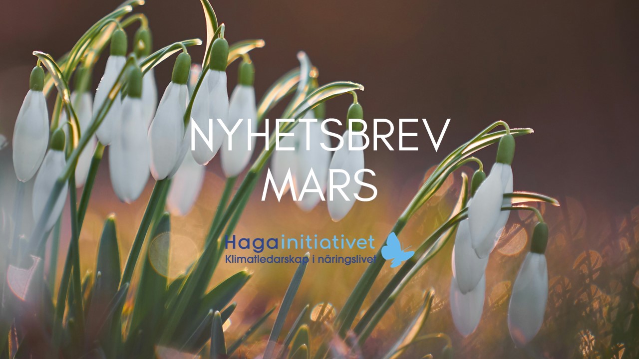 Nyhetsbrev mars